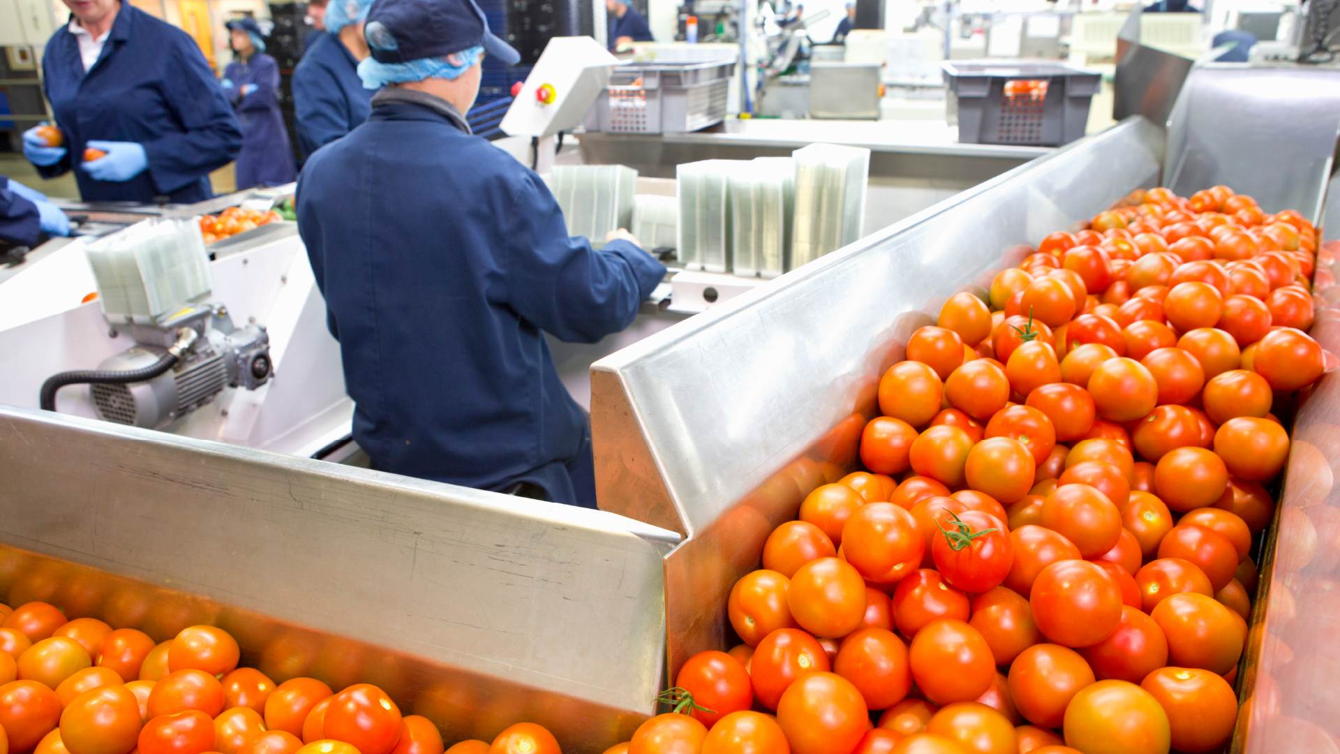 Certificación BPM y relación con HACCP en Perú para fortalecer la inocuidad alimentaria y el control de procesos en empresas de alimentos.