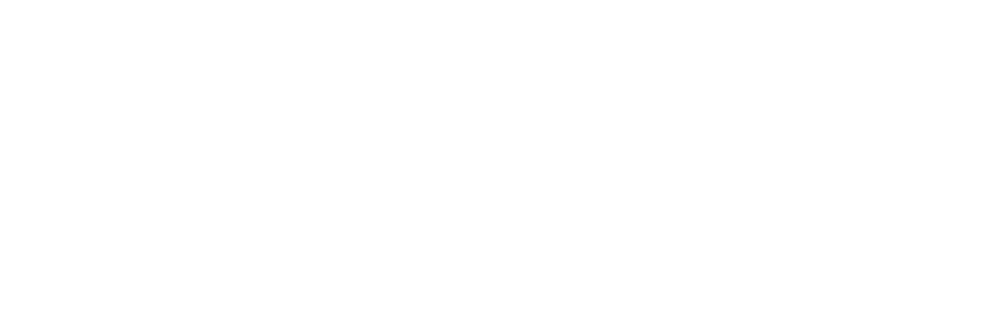 Logo LSQA