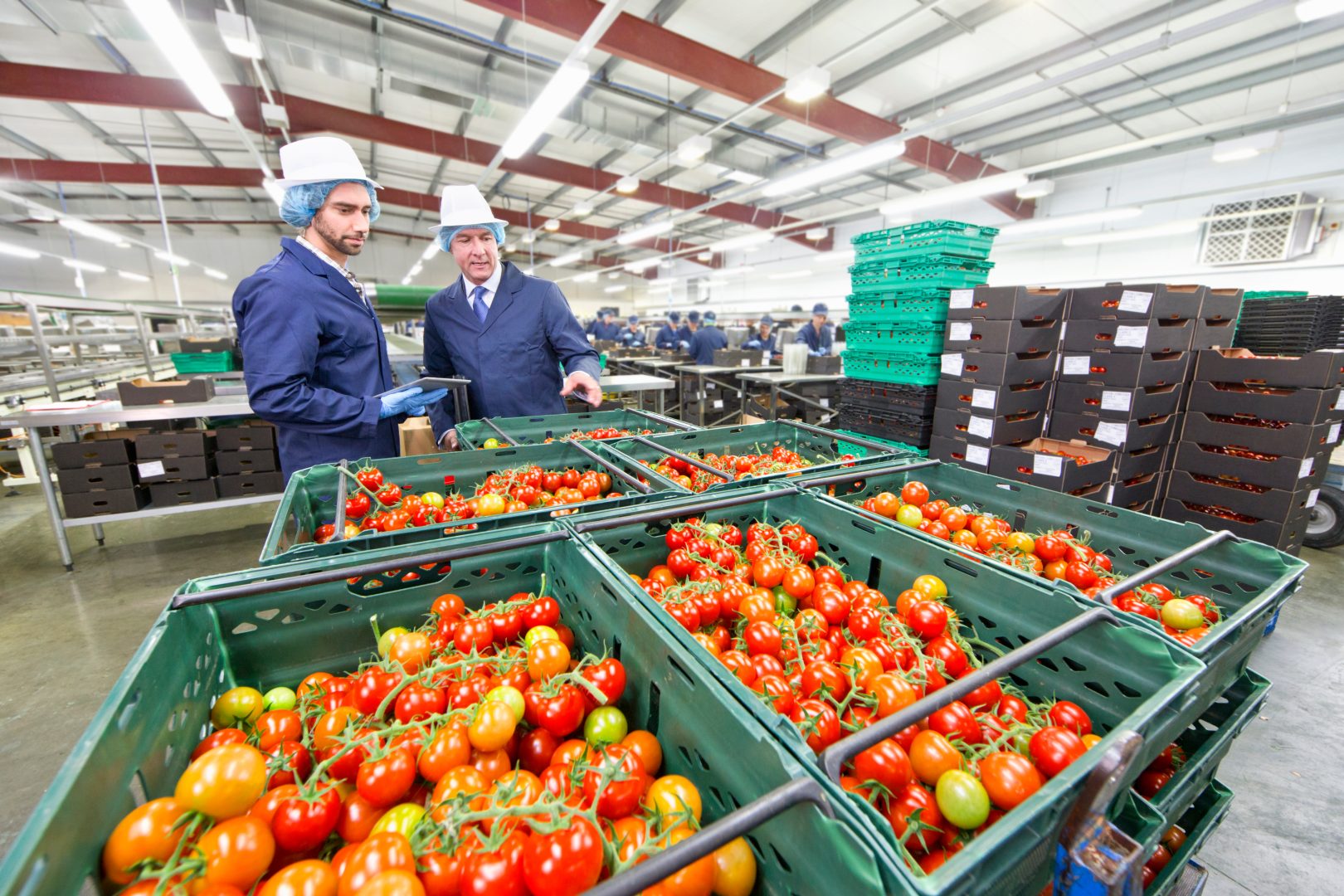 Certificación FSSC 22000 en Perú durante auditoría de seguridad alimentaria en planta de producción.