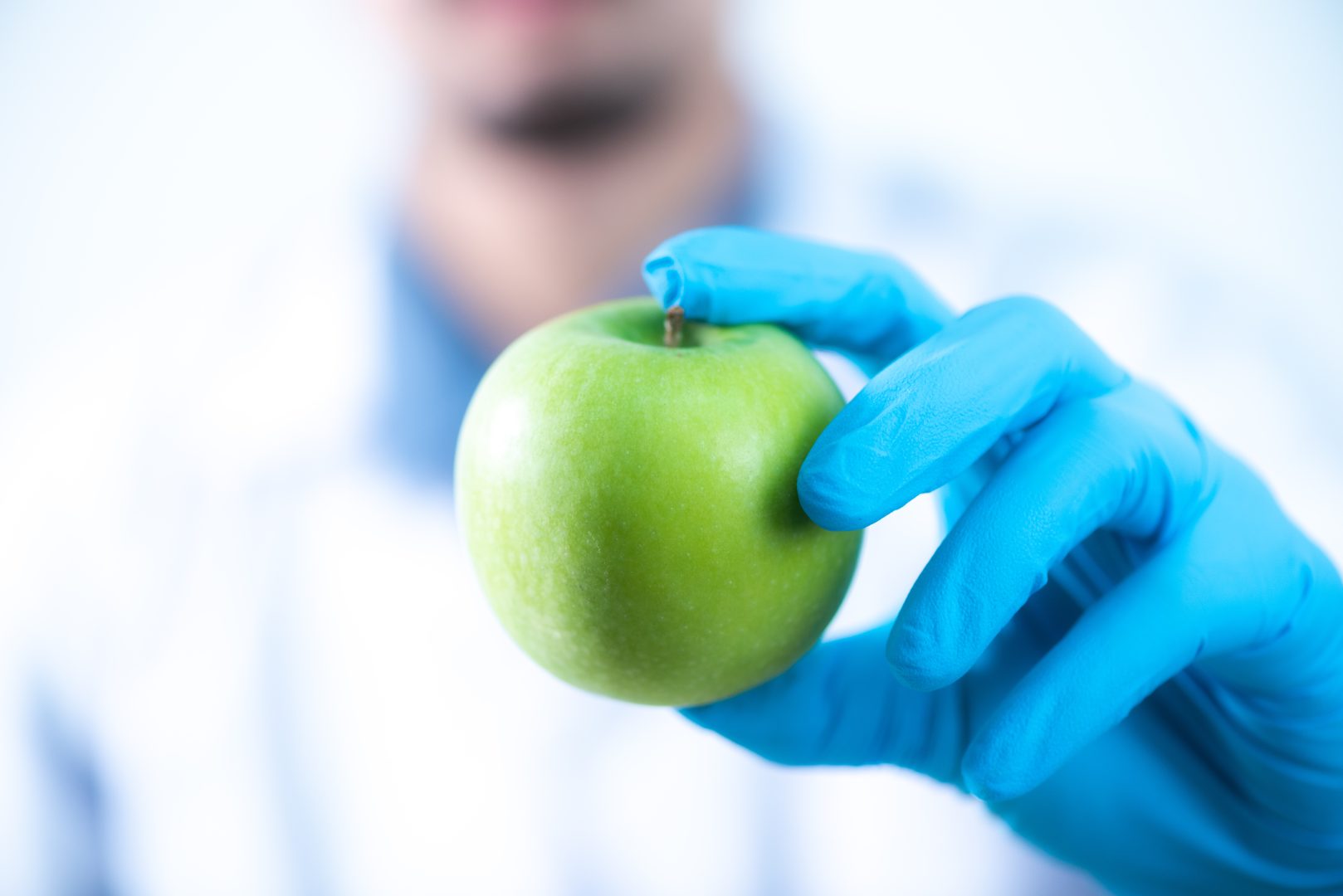 Diferencias entre BRCGS Food Safety y otros estándares de inocuidad alimentaria.