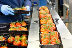 Auditoría BRCGS en planta de alimentos en Perú evaluando inocuidad, procesos productivos y cumplimiento de requisitos.