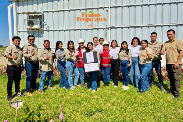 empresa. frutos tropicales en LSQA