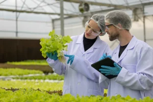 Certificación HACCP en Perú como base para BRCGS y FSSC 22000
