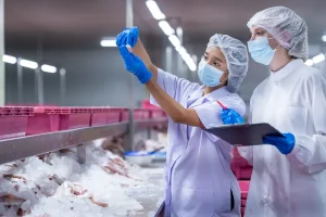 Personal realizando inspección de inocuidad alimentaria durante una auditoría FSSC 22000 en planta de procesamiento de alimentos