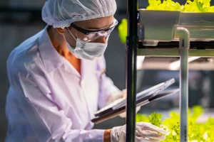 Auditoría de certificación FSSC 22000 en empresa alimentaria con enfoque en inocuidad, trazabilidad y gestión de riesgos