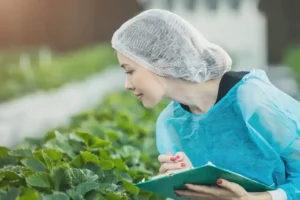 Operaria aplicando Buenas Prácticas de Manufactura durante la manipulación de alimentos en una planta de producción.