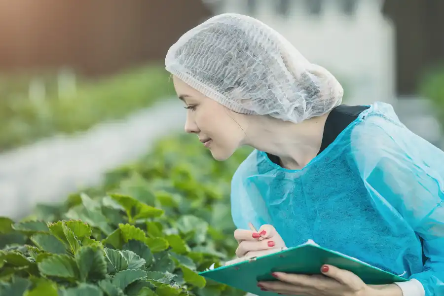 Operaria aplicando Buenas Prácticas de Manufactura durante la manipulación de alimentos en una planta de producción.