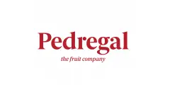 El Pedregal