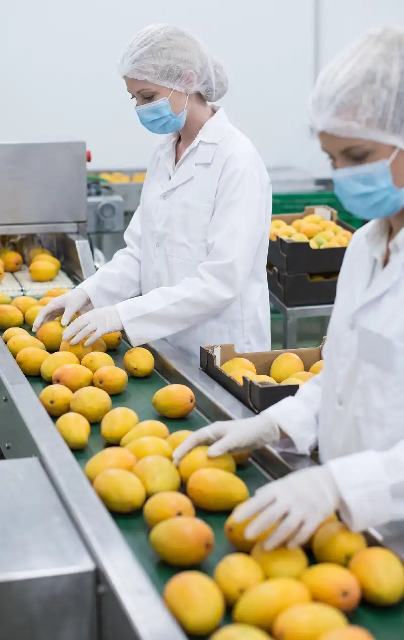 HACCP Proceso 1