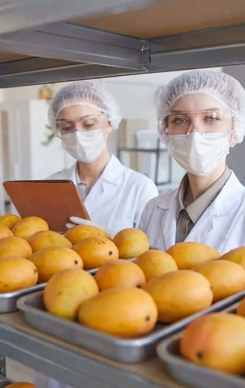 HACCP Proceso 2