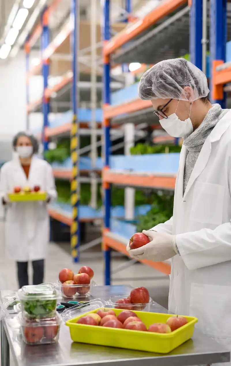 Inspección en planta BPM