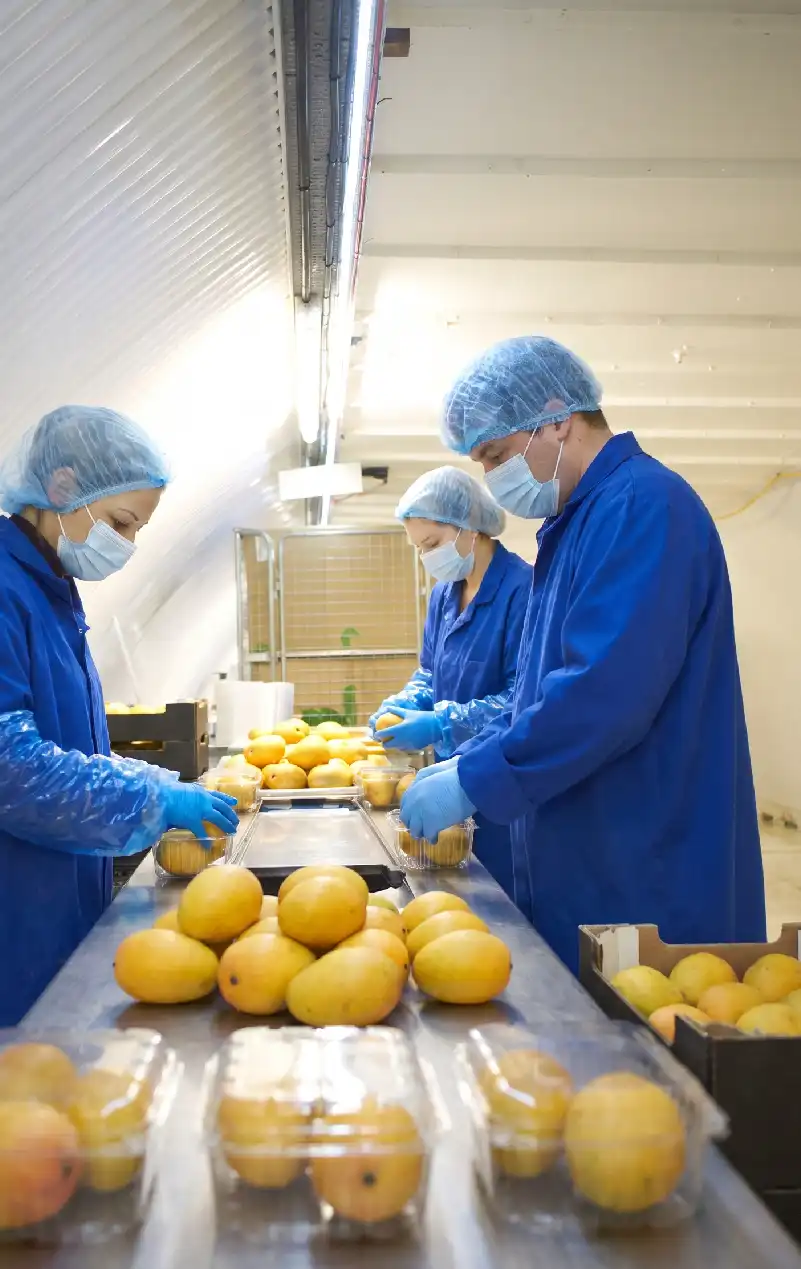 HACCP Proceso 3