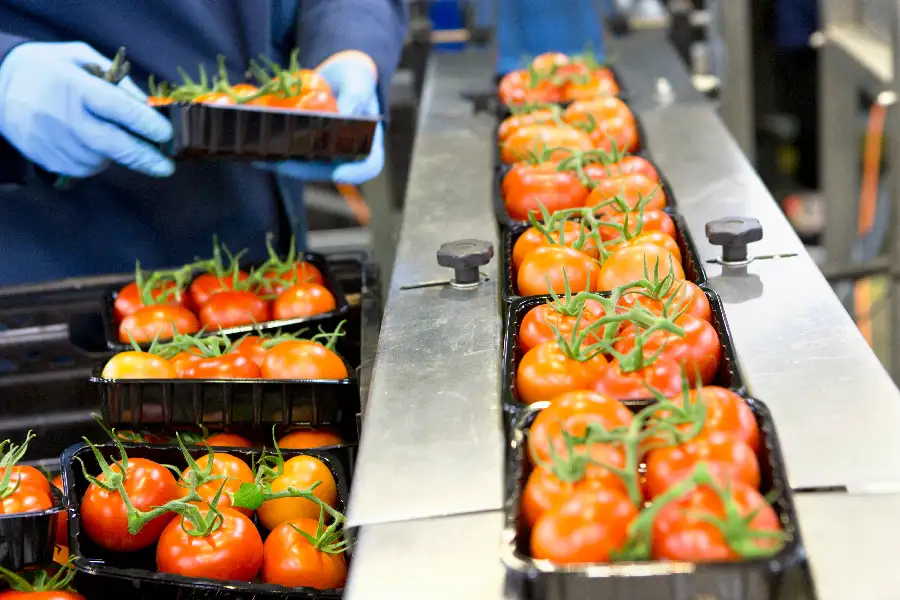 BRCGS START para MYPES y pequeñas empresas de alimentos