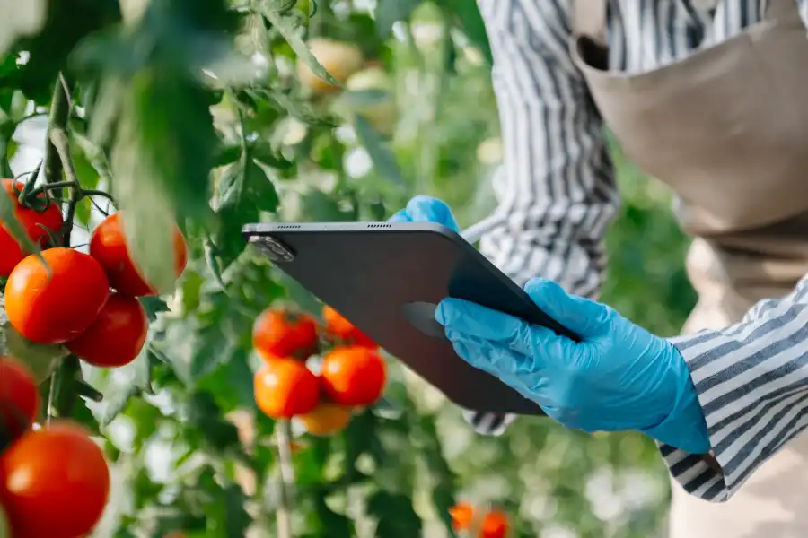 Evidencia de Food Defense en BRCGS
