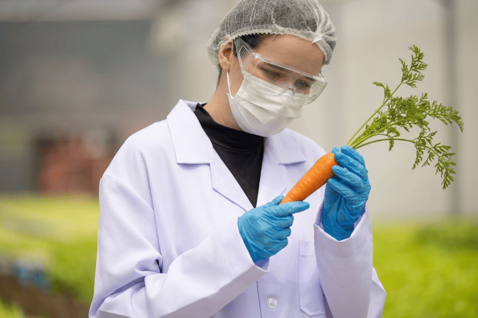 HACCP Certificación Inocuidad Alimentaria