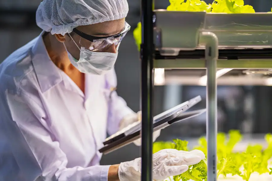 BRCGS vs otras normas de inocuidad alimentaria
