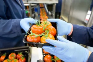 Food Fraud y Food Defense en FSSC 22000