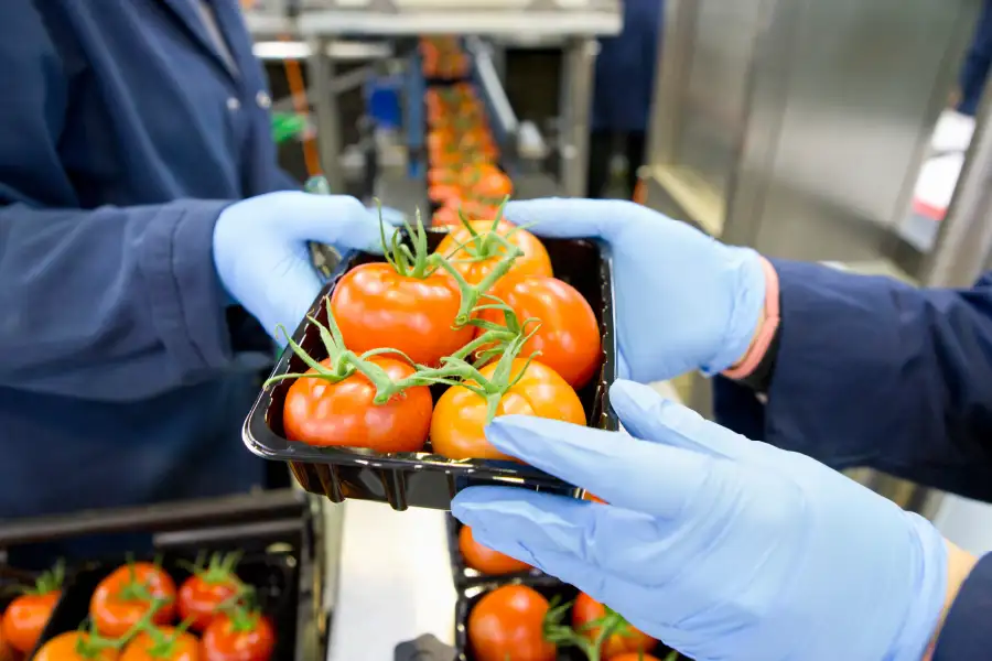 Food Fraud y Food Defense en FSSC 22000