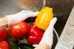 Plan Haccp y los 7 principios fundamentales.